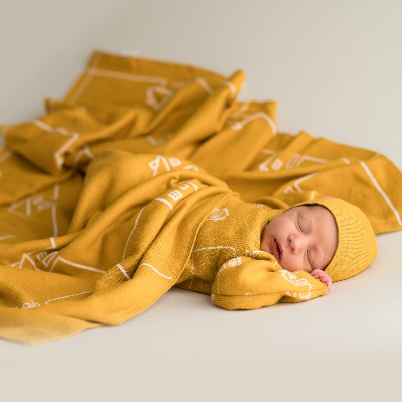 Houses Blanket
