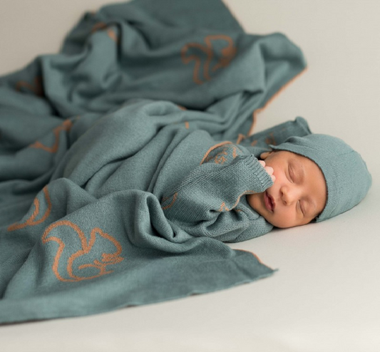 Squirrels Blanket